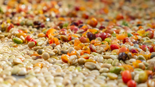 Coffee Bean Layers 101: The Hidden Structure That Shapes Flavor