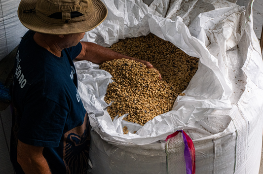 How to Choose the Best Ka‘ū Coffee for Your Taste