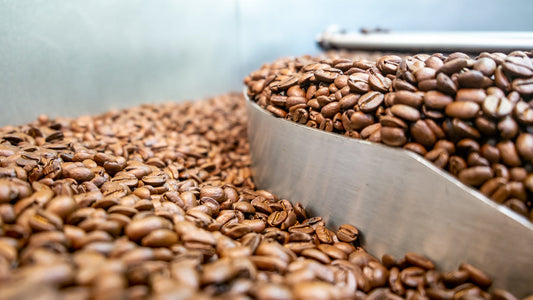 Why Specialty Buyers are Switching to 100% Kaʻu Coffee Beans