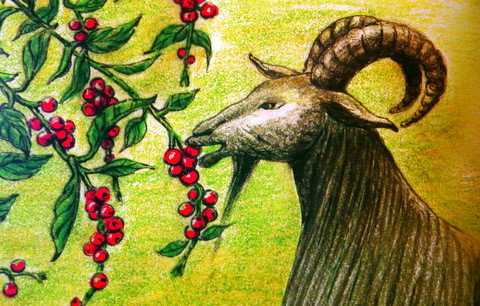 The Mysterious Origins of Coffee