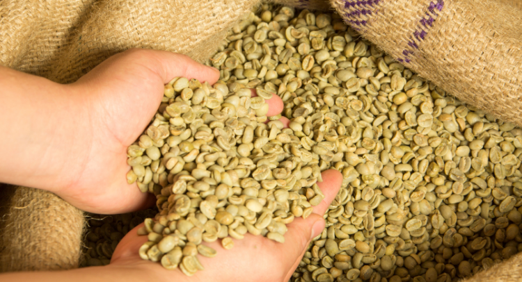 Hawaii Green Coffee Bean