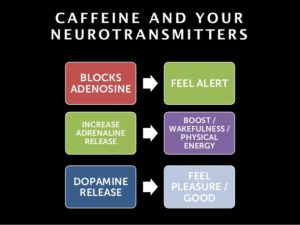 How Caffeine Affects Your Brain - Driftaway Coffee