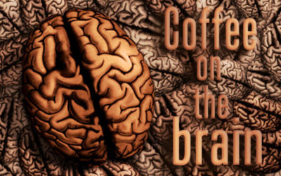 Coffee On The Brain